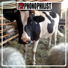 Farm Animal sound effects library