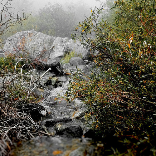 creek water sound effects