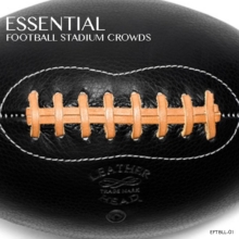 Stadium Crowd Sound Effects