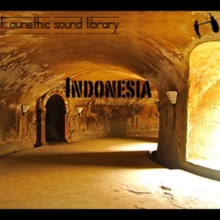 Indonesian ambiences and sound effects